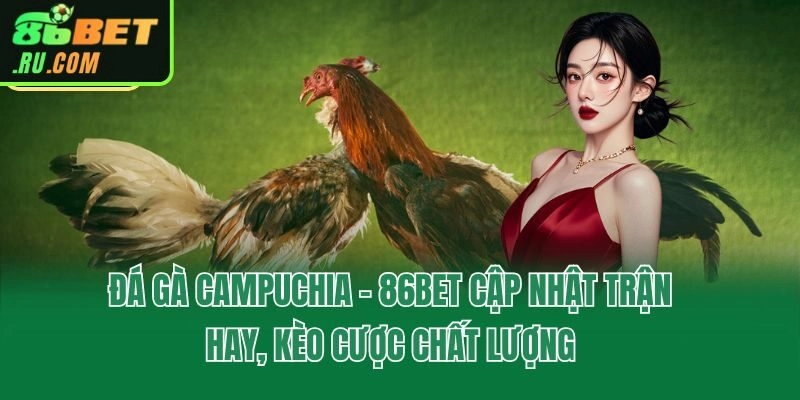 Đá Gà Campuchia - 86bet Cập Nhật Trận Hay, Kèo Cược Chất Lượng